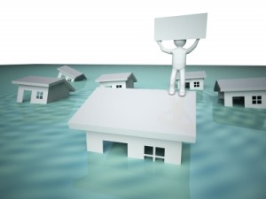 Flood Zone Services